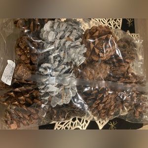 Silver Glitter pine cones 16oz